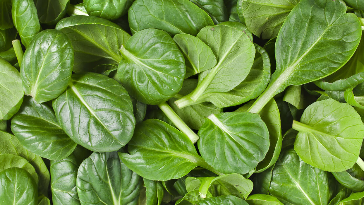 Fresh foods rich in vitamin c, calcium, and iron help combat the effects of lead poisoning.
